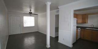 Carolina Gallery 4