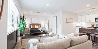 Trellis Herndon Gallery 5