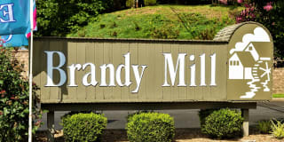 Brandy Mill Gallery 55