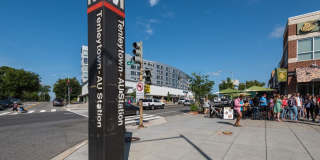 Tenley View Gallery 16