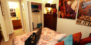 Alexis Park Gallery 20