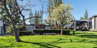 Portola Redlands Gallery 20