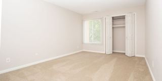 The Lake Shore Apartments Gallery 4