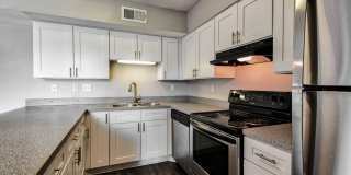 Latitude 2976 Gallery 2