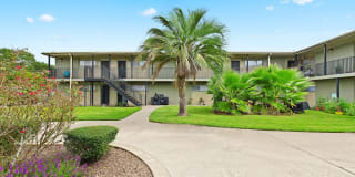 Palms of Alvin Gallery 2