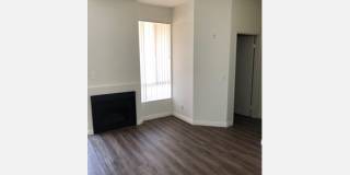 6510 La Mirada Ave Gallery 11