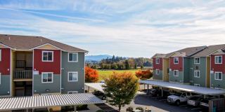 Seasons on the Park Gallery 39