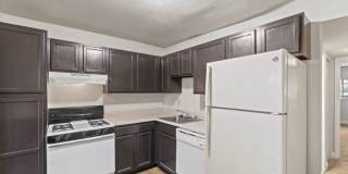 Camden Hills Gallery 1