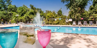 The Bicycle Club The Bicycle Club Gallery 3