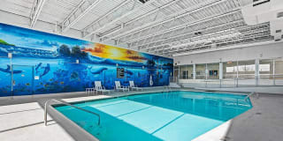 The Incline Apartments and Studios Gallery 3