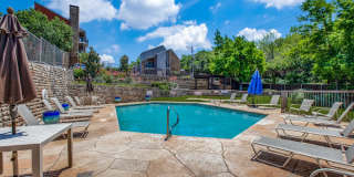 Serena Vista Gallery 17