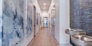 Palladium Simpson Stuart Gallery 16