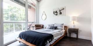 The Scholar The Scholar Gallery 3