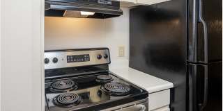 Celeste Apartments Gallery 1