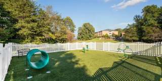 Abbotts Creek Gallery 48