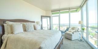 Ovation 309 Gallery 15