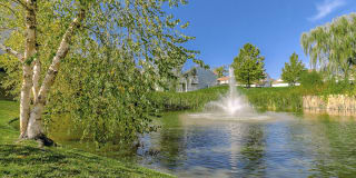 Falcon Falls Gallery 30