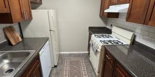 Chelsea Park Gallery 1