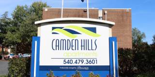 Camden Hills Gallery 44