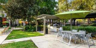 The Falls at Arden Gallery 43