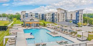 The Percy Gallery 46