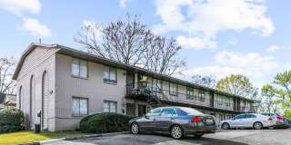 Avondale Forest Gallery 1