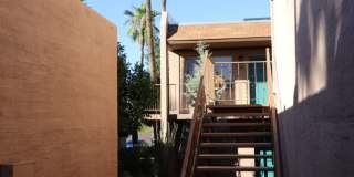 Palm Garden Gallery 19