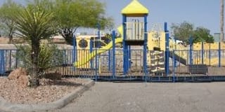 Timberwolf Gallery 2