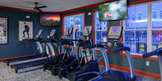 Alder Park Gallery 8