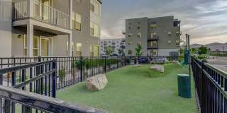 Vida at Daybreak Gallery 41