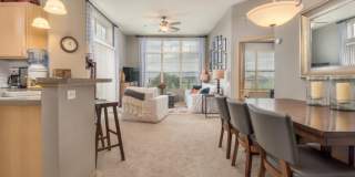 Parmenter Circle I Apartments Gallery 6