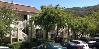 Park Hill Gallery 18