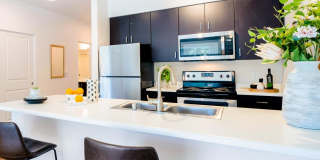 Wellstone Gallery 15