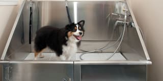 Park Royal Gallery 5