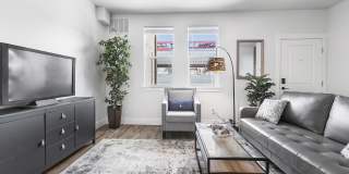 Urban Woods Gallery 13