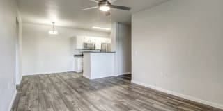 The Madison Gallery 8