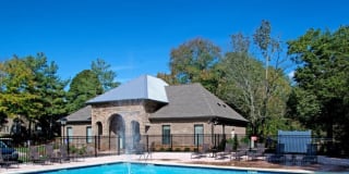 Goldelm at Cedar Bluff Gallery 1