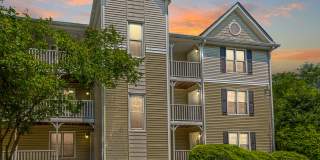 Forest Pointe Apartments Gallery 86