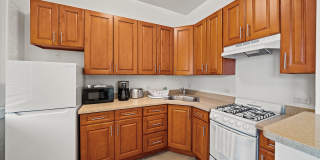 The Cornelia Suites Gallery 1