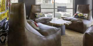 Lotus Republic Gallery 10