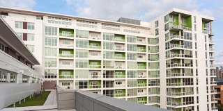 Ovation 309 Gallery 46