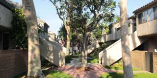 Huntington Creek Gallery 56
