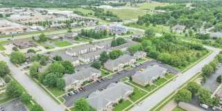 Sunset Woodland Gallery 11