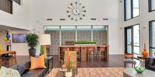 The Curve at Melrose Gallery 23