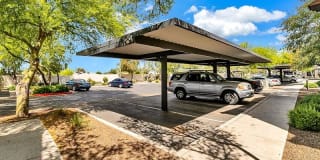 Town Center Apartments Gallery 7