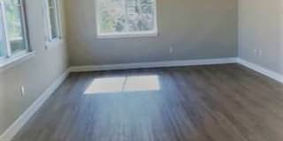 599 Castro Gallery 5