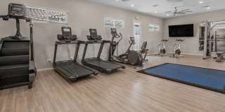 TerraLane on Cotton Gallery 7