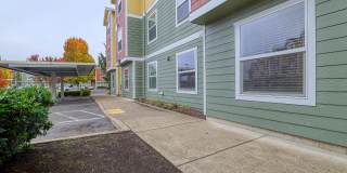 Seasons on the Park Gallery 25