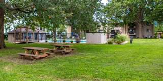 Park Lane Gallery 15