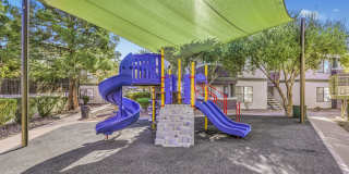 Desert Sage Gallery 46